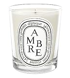 Ambre (Amber) Mini Candle 70 g by Diptyque