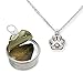 Pearlina Paw Print Cultured Pearl in Oyster Necklace Set Silver-tone Pendant w/Stainless Steel Chain 18