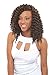 6 Pack of Janet Collection Havana Medium Mambo Twist Braid 12