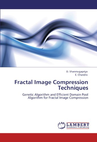 Fractal Image Compression Techniques: Genetic Algorithm and Efficient Domain Pool Algorithm for Fractal Image Compression
