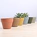 Succulent Planter,Indoor Small Mini Ceramic Plant Pots with Drainage for Cactus Set of 6