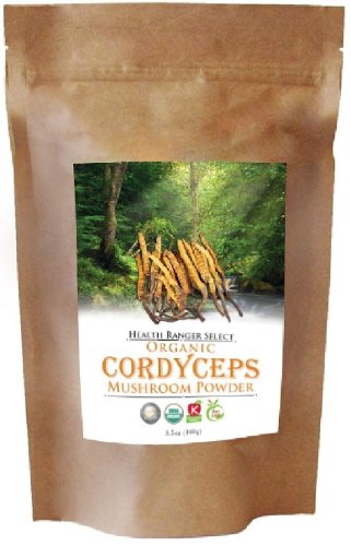 Organic Cordyceps Mushroom Powder 100g