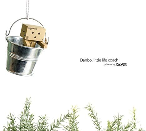Danbo, little life coach