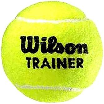 wilson trainer balls