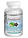 ► STRONG 1200mg CARALLUMA FIMBRIATA Extract Best for Weight Loss Vegan Appetite Suppressant Diet Pills