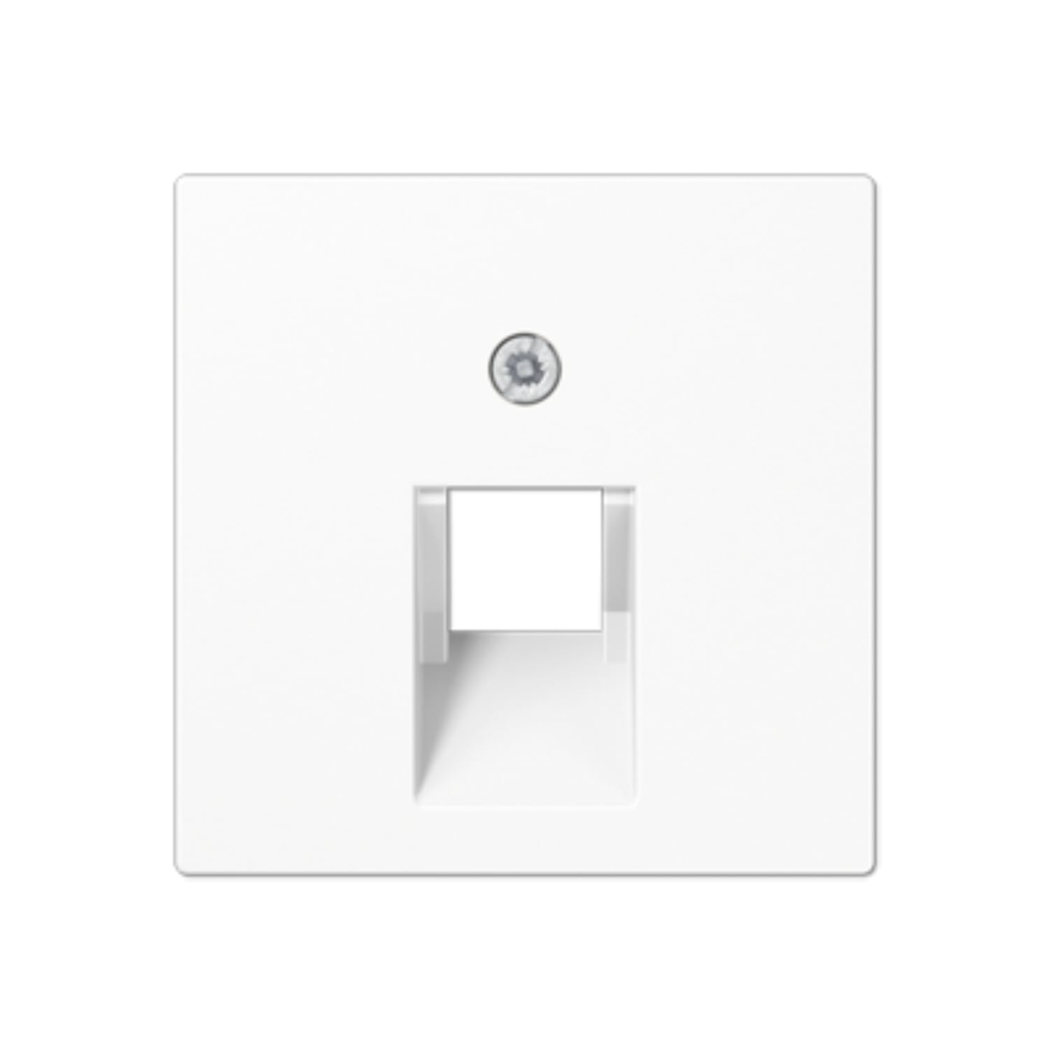 Jung A569-1PLUA 1BFPLUAWW Cover IAE/UAE Wall Socket