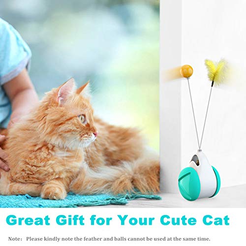 Interactive Cat Chasing Toys for Indoor Cats, Kitten Chaser Toys with