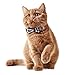 KUDES 2 Pack/Set Cat Collar Breakaway with Cute Bow Tie and Bell for Kitty and Some Puppies, Adjustable from 7.8-10.5 Inch