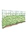 Gardeners Supply Company Sturdy Expandable Tall Pea Trellis for Climbing Plants | Multi-Use Heavy Duty Outdoor Garden Peas, Tomato, Cucumber Steel Plant Support | 9'-8