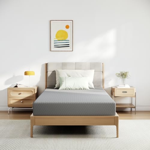 Novilla 5 Inch Twin Memory Mattress
