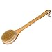 Haveia Bath Body Brush Boar Bristles Exfoliating Body Massager with Long Wooden Handle for Dry Brushing and Shower