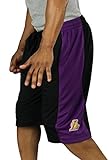 Los Angeles Lakers NBA Mens Mesh Basketball Shorts, Black