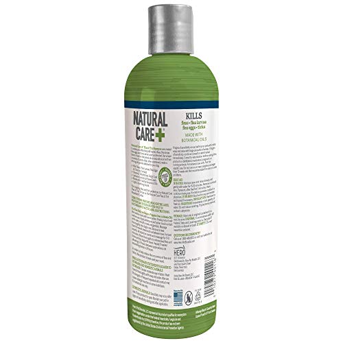 Natural Care Flea and Tick Dog Shampoo | Flea Treatment for Dogs | Flea Killer with Certified Natural Oils | 12 Ounces