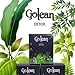 1 Box x 14 Bags (28 Capsules) - Golean Detox herbal tea help weight loss, 100% Natural Weight Loss Tablets