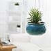 Mediterranean Style Round Cerulean Succulent Hanging Planter Pot with Twisted Jute Twine Rope