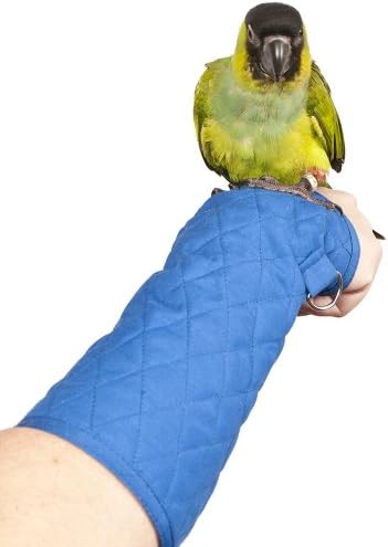 Parrot Arm Perch - Size: SMALL by Bigbird
