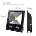GLW 12V-24V DC LED Flood Light,50W Outdoor Super Bright Fishing Light,IP65 Waterproof,6000K,4500lm,Daylight White 250W Halogen Bulb Equivalent[NO AC Input]