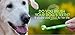 KissAble 3-Item Bundle; Toothbrush and Toothpaste Combo Kit for Dogs Plus 2 Additional KissAble Toothpaste Tubes for Dogs
