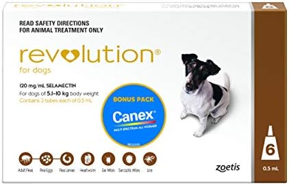 revolution for dogs amazon