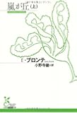 嵐が丘〈上〉 (光文社古典新訳文庫)