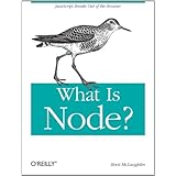 What Is Node?