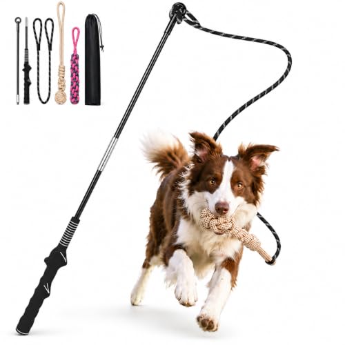 DEPURE Heavy Duty Flirt Pole