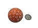 Single 100 Sided Polyhedral Dice (D100), Solid Orange Color with White Numbering, 45 Millimeters by SkullSplitter Dice