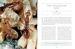 The Wonder Cabinet of Fabulous Insects: Secrets of