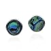 Cute Inlay Abalone Shell Round .925 Sterling Silver Push Back Earrings primary