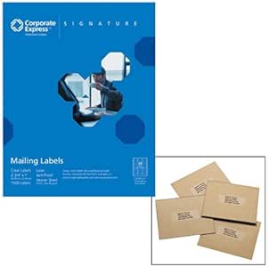 Amazon.com : Clear Laser Labels, Mailing, 1-1/3