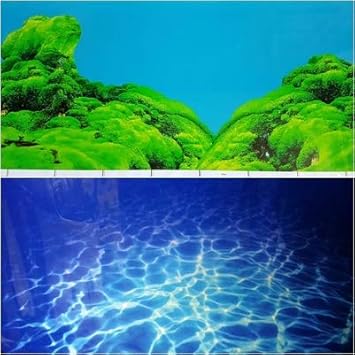 Amazon Com 23 Height Double Sided Aquarium Background Green