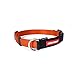 EzyDog Checkmate Martingale-Style Training and Correction Dog Collar (Medium Orange)