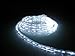 10Ft Rope Lights; Cool White LED Rope Light Kit; 1.0