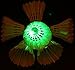 LED Badminton, Inngree 6Pack Shuttlecock Dark Night Goose Feather Glow Birdies Lighting For Outdoor Indoor Sports Activities