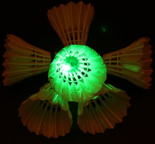 Inngree LED Badminton Birdies, LED Colourful Shuttlecock Dark Night Goose Feather Glow Birdies Lighting Outdoor Indoor Sport Activities (Colourful-6pcs)