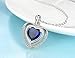 Riakoob 925 Sterling Silver Plated Heart Shape Blue Sapphire Pendant,Crystals Jewerly Necklace,for Women