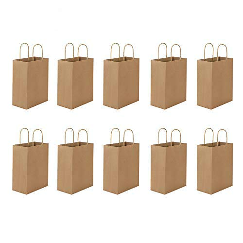 10pcs Kraft Paper Bags Hen Party Bags Bride Gift Birthday Bag with Braided Handle Shopping Tote Bag for Birthday Wedding Baby Shower Halloween Christmas Party Supplies Tote Bag