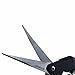 Apollo Horticulture Precision Curved Blade Pruner Shears for Gardening