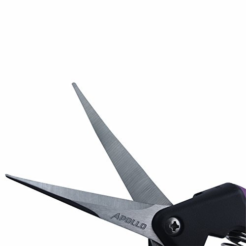 Apollo Horticulture Precision Curved Blade Pruner Shears for Gardening