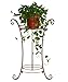 AISHN Classic Tall Plant Stand Art Flower Pot Holder Rack Planter Supports Garden & Home Decorative Pots Containers Stand