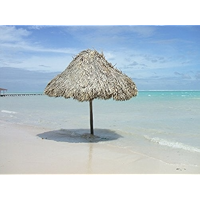 The Tropics Are Calling . . . and It's for You! book cover