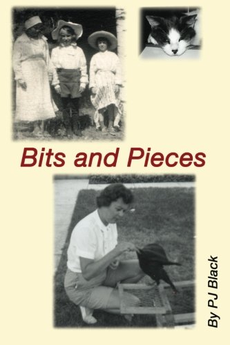 Bits and Pieces: Some of My Favorite Things by P J Black