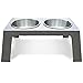 PetFusion Elevated Dog Bowls in Premium Anodized Aluminum Stand (Tall 8