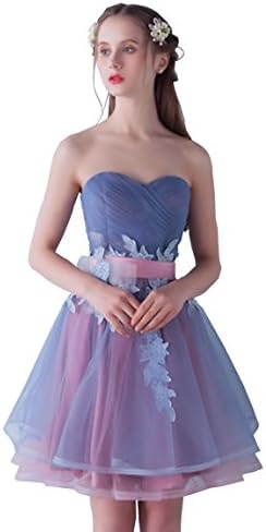 Cohaco Women's Sweetheart Princess Dress Appliques Organza Party Gown With Gloves (US 4, Knee-Length)