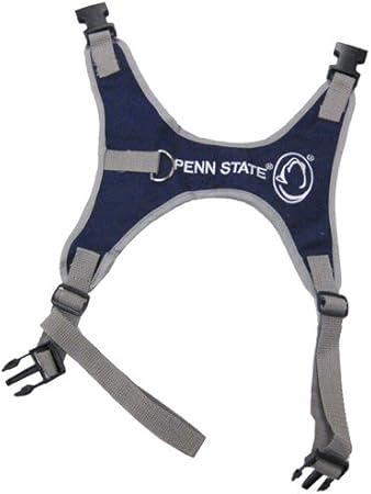 maltipoo grey and white