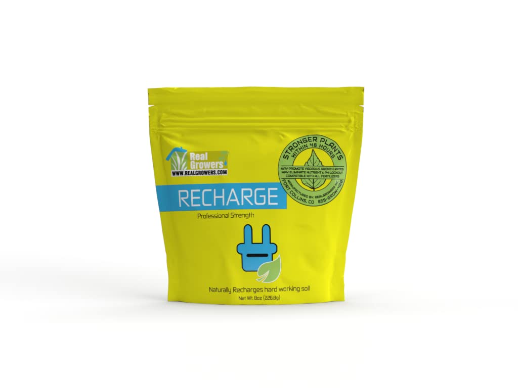 HAZKO Real Growers Recharge (8oz)