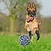 Ranphykx Dog Puppy Toys 11 Pack, Dog Rope Toys Puppy Chew Toys for Playtime Puppy Teething Toys, Dog Flying Disc, Washable Cotton Rope