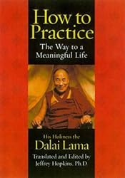 How to Practice: The Way to a Meaningful Life
