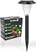 ArMax Solar Pathway Lights Outdoor V2.0 - for Garden Yard Lawn Path Walkway Driveway Sidewalk Outside - Landscape Lighting - Bright Cool White LED - Stake Light - Up to 25HR - 4 PCS - Waterproof primary