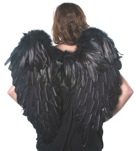 Zucker Feather Products Decorative Turkey Feather Angel Wings, Large, Black